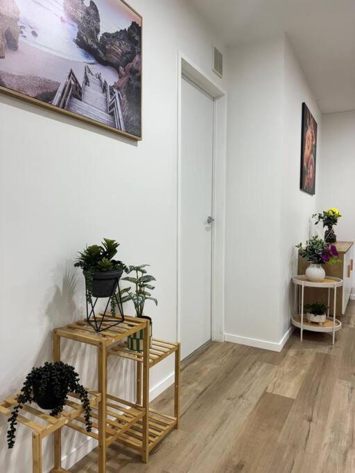 Stunning 3 Bd - 2 Bth City Apt - Pool & Carpark Auckland Eksteriør billede