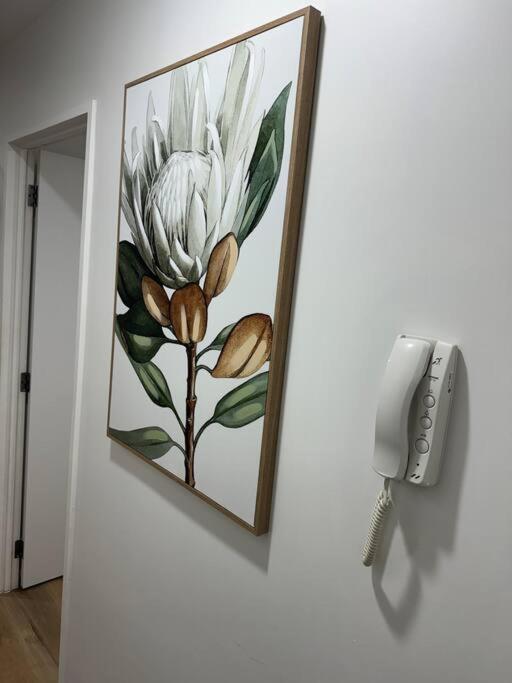 Stunning 3 Bd - 2 Bth City Apt - Pool & Carpark Auckland Eksteriør billede