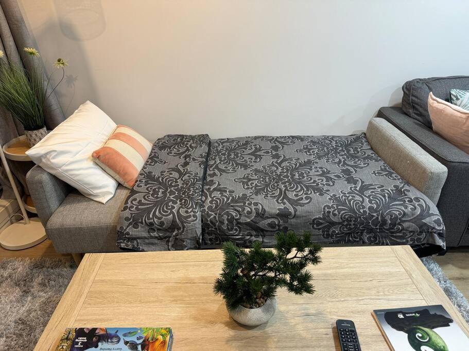 Stunning 3 Bd - 2 Bth City Apt - Pool & Carpark Auckland Eksteriør billede