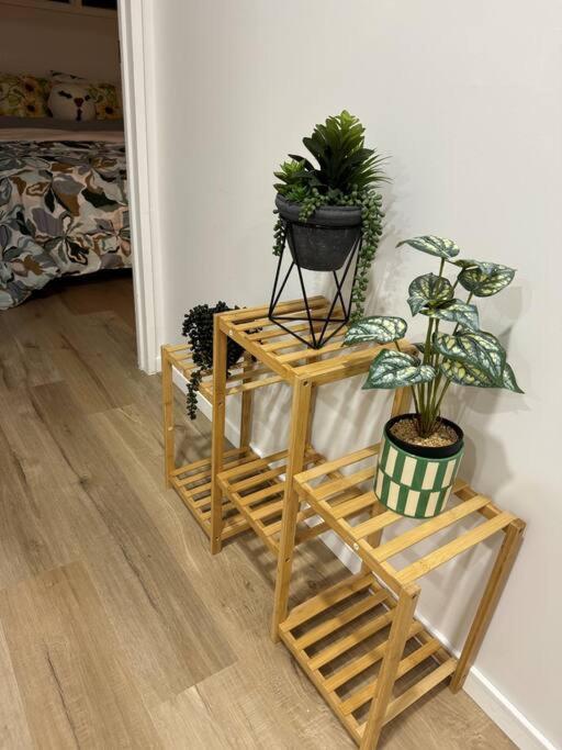 Stunning 3 Bd - 2 Bth City Apt - Pool & Carpark Auckland Eksteriør billede